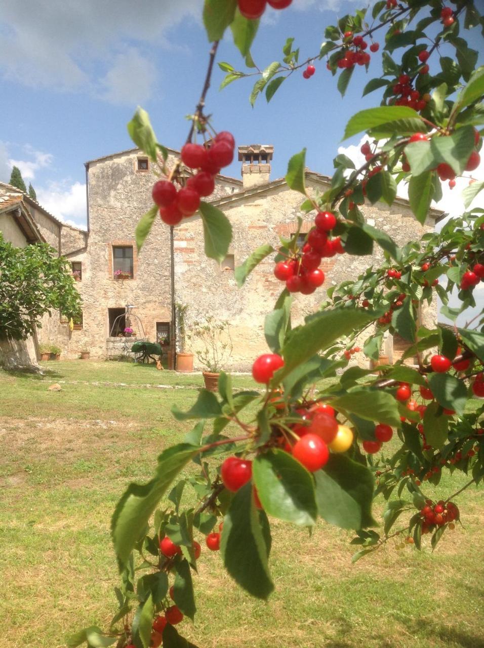 La Canonica Di San Michele Monteriggioni Eksteriør bilde